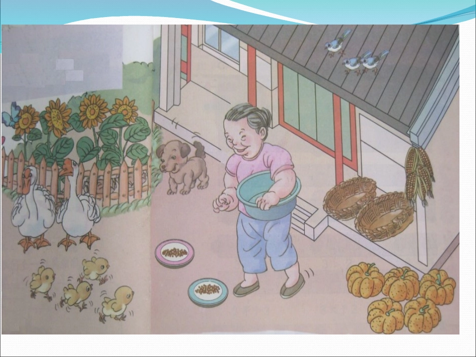 小学数学人教2011课标版一年级1--5的认识_第2页