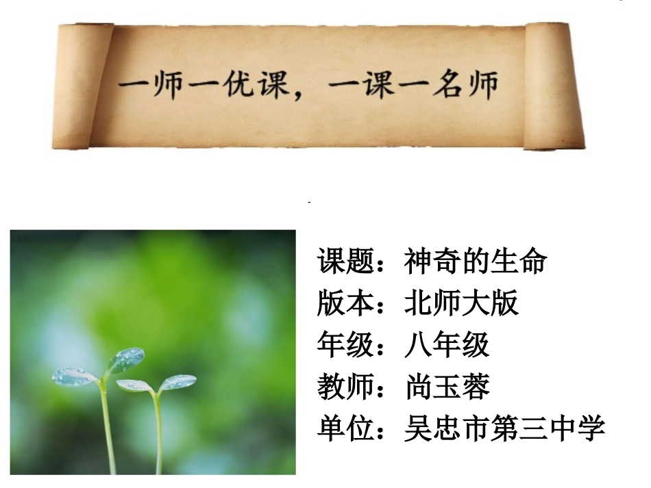 第1站神奇的生命_第1页