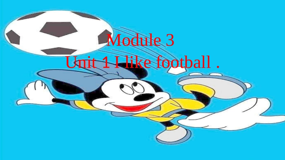 Unit1Ilikefootball_第2页