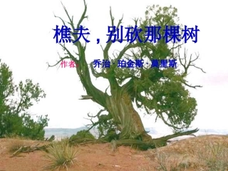 4.樵夫-别砍那棵树
