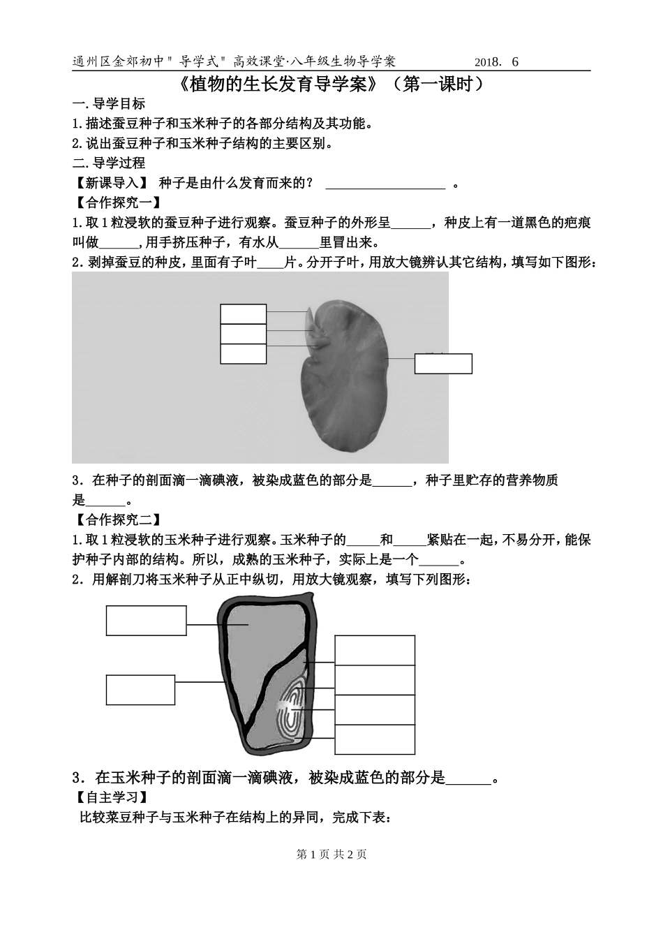 第2节植物的生长发育_第1页