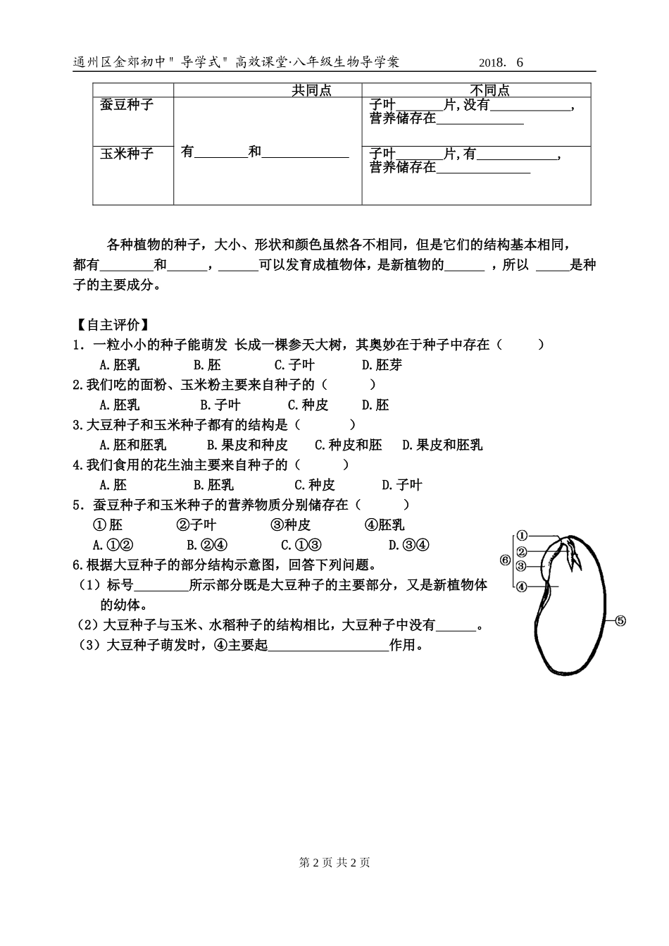 第2节植物的生长发育_第2页