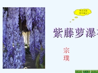 (部编)初中语文人教2011课标版七年级下册17紫藤萝瀑布-(5)