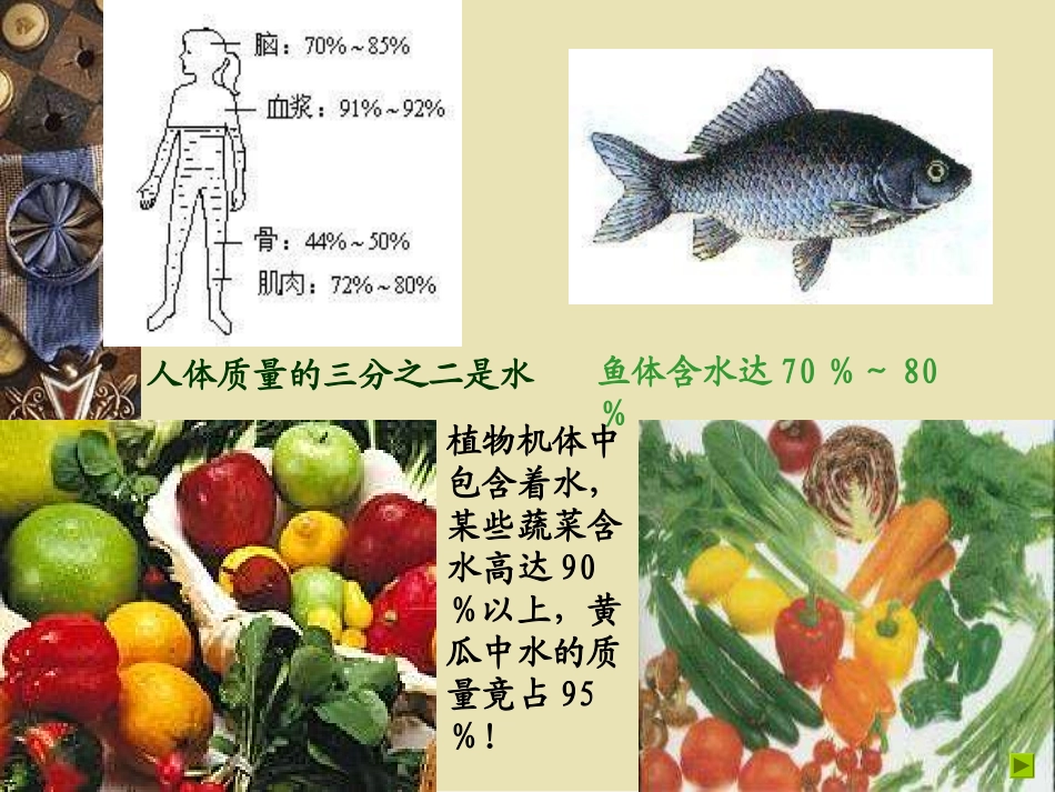 自然界中的水_第2页