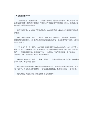 梅花魂读后感