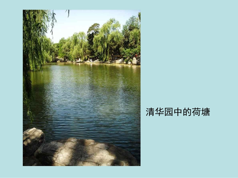 1-荷塘月色-朱自清_第3页