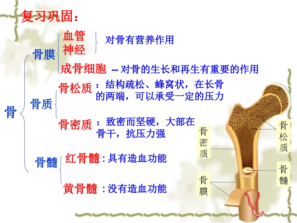 第1节人体的运动_第2页