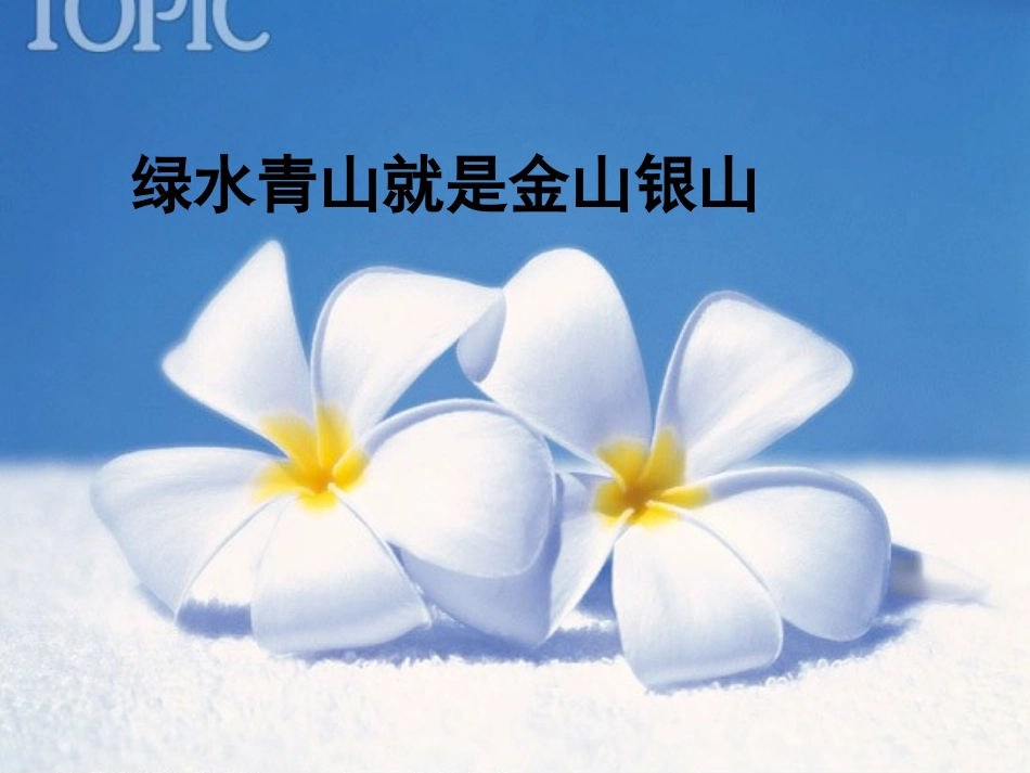 绿水青山就是金山银山_第1页