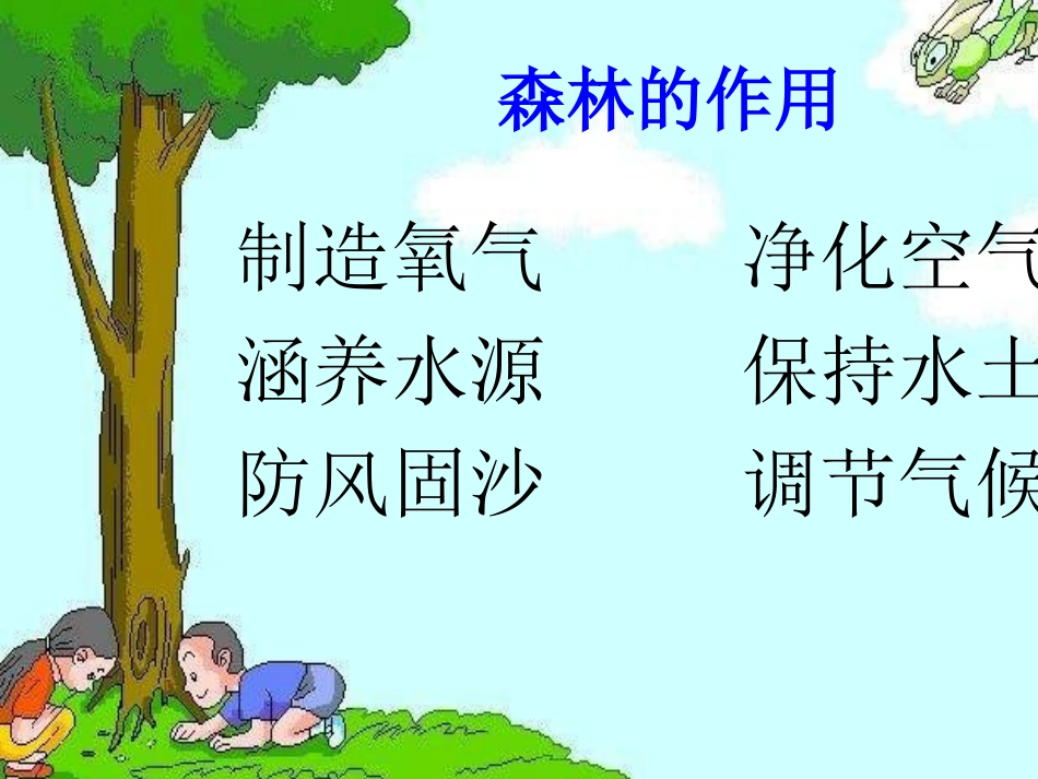 北师大版品德与生活二下《纸从哪里来_第3页