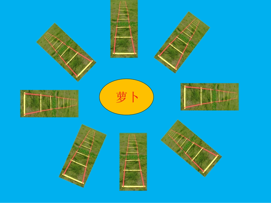 6.模仿走与游戏_第2页