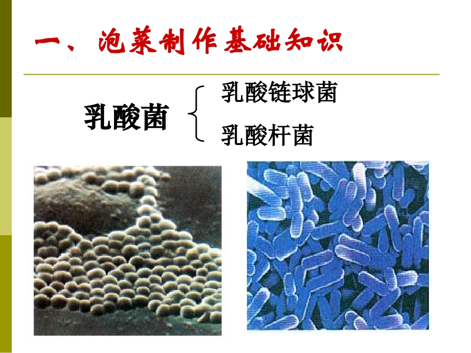 课题研究泡菜中是否含有亚硝酸盐_第3页