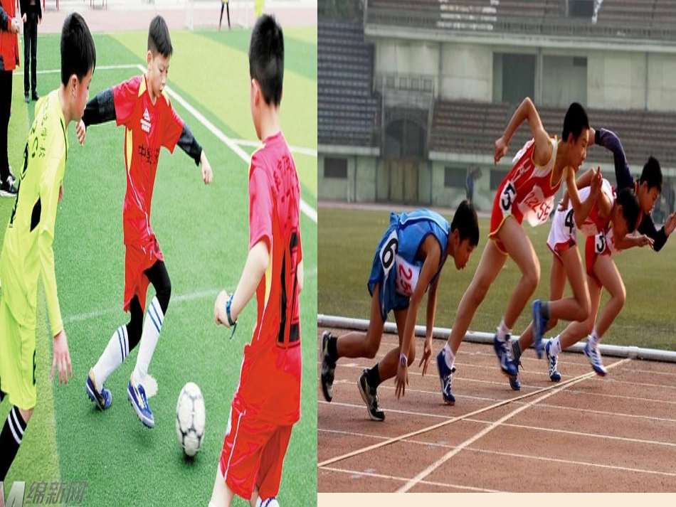 第五节人体能量的供给-(4)_第2页