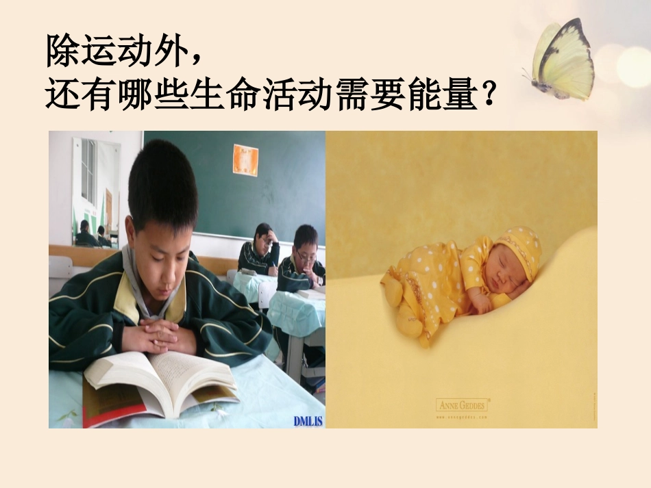 第五节人体能量的供给-(4)_第3页