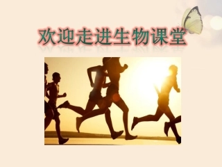 第五节人体能量的供给-(4)