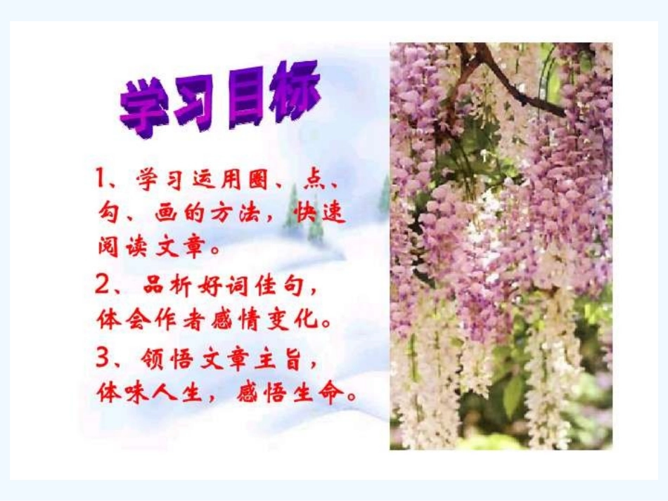 (部编)初中语文人教2011课标版七年级下册紫藤萝瀑布课件_第2页