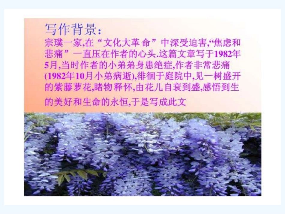 (部编)初中语文人教2011课标版七年级下册紫藤萝瀑布课件_第3页