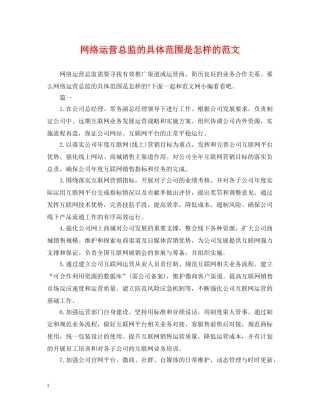 网络运营总监的具体范围是怎样的范文 