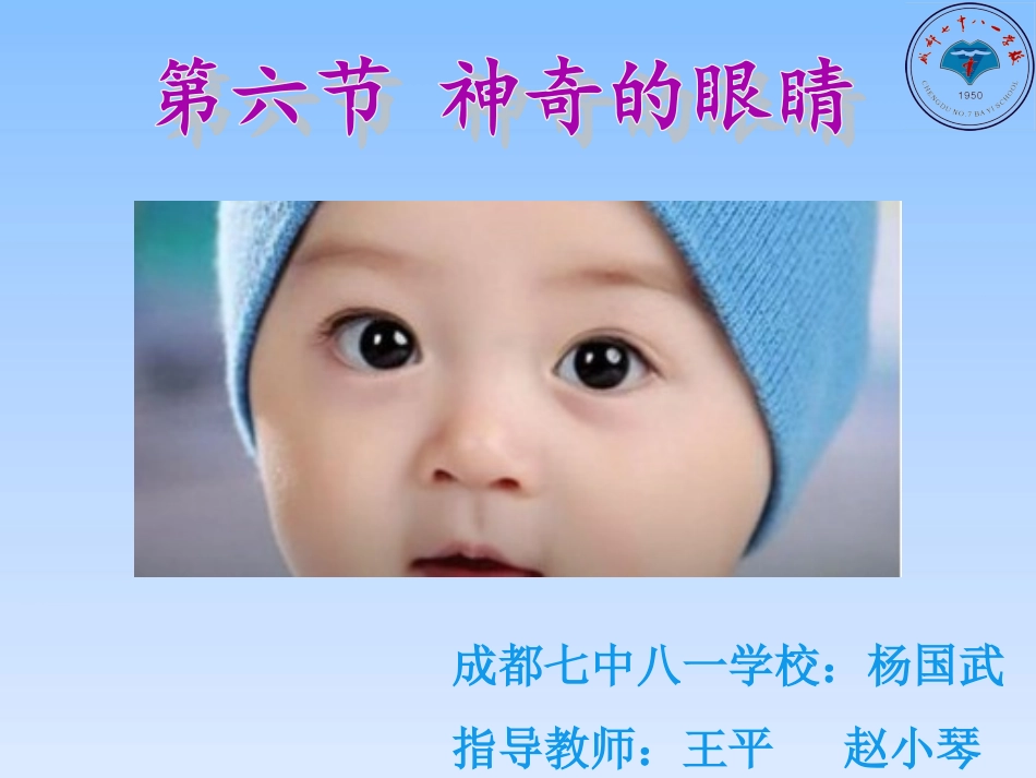 6.神奇的眼睛-(3)_第1页