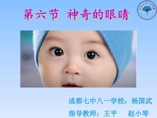 6.神奇的眼睛-(3)