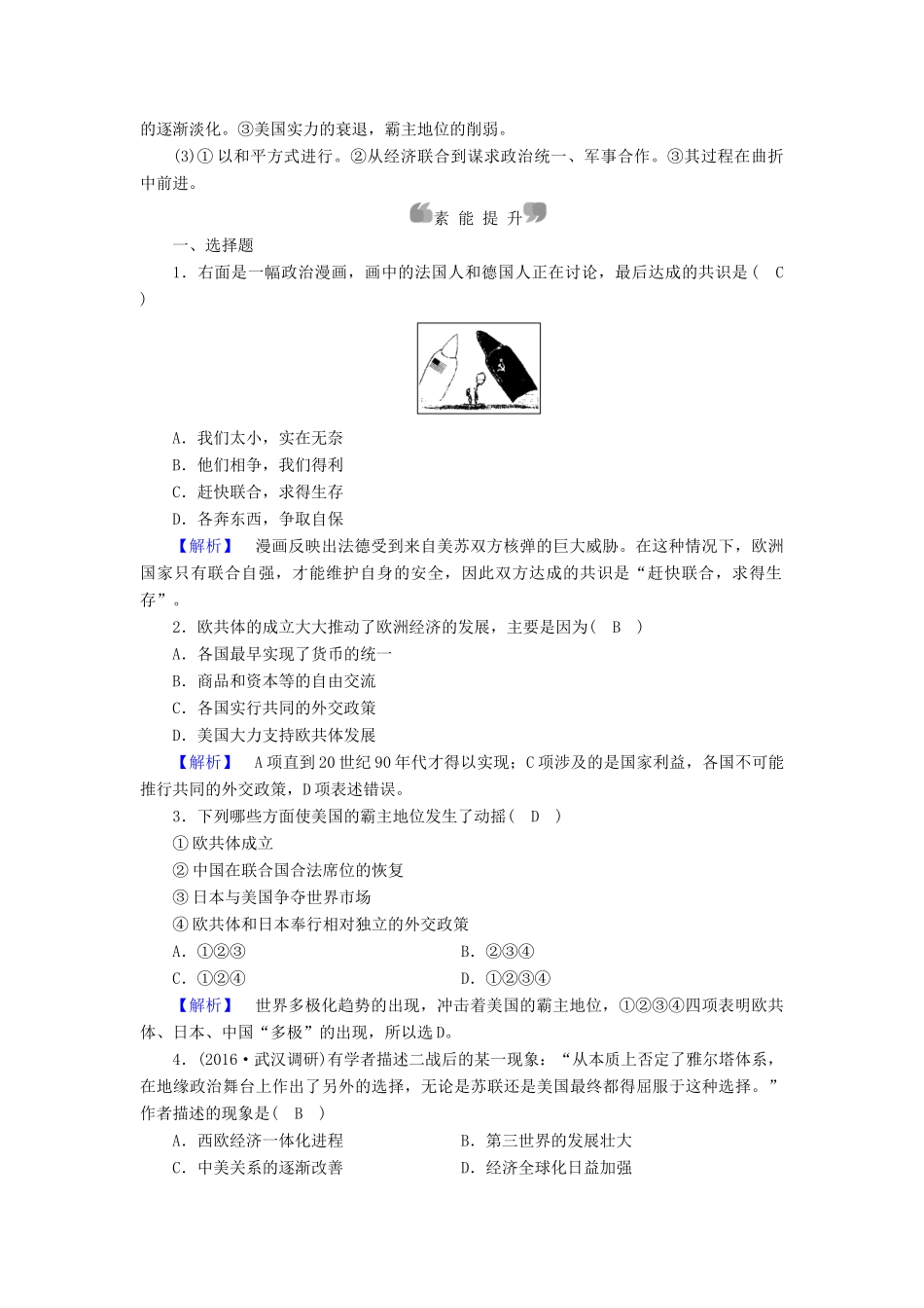 高中历史 专题9 当今世界政治格局的多极化趋势 第2课 新兴力量的崛起课时作业 人民版必修1-人民版高一必修1历史试题_第3页
