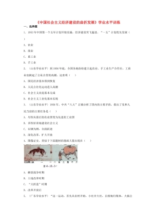高中历史 第18课 中国社会主义经济建设的曲折发展学业水平训练 岳麓版必修2-岳麓版高一必修2历史试题