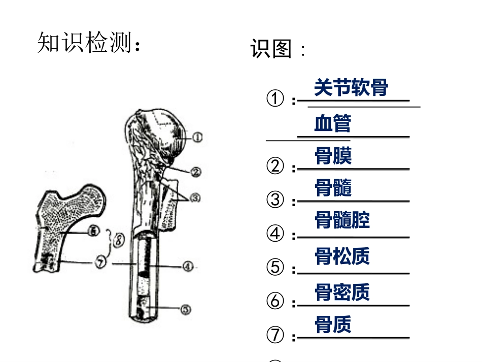 第二节---运动的形成(第三课时)_第2页