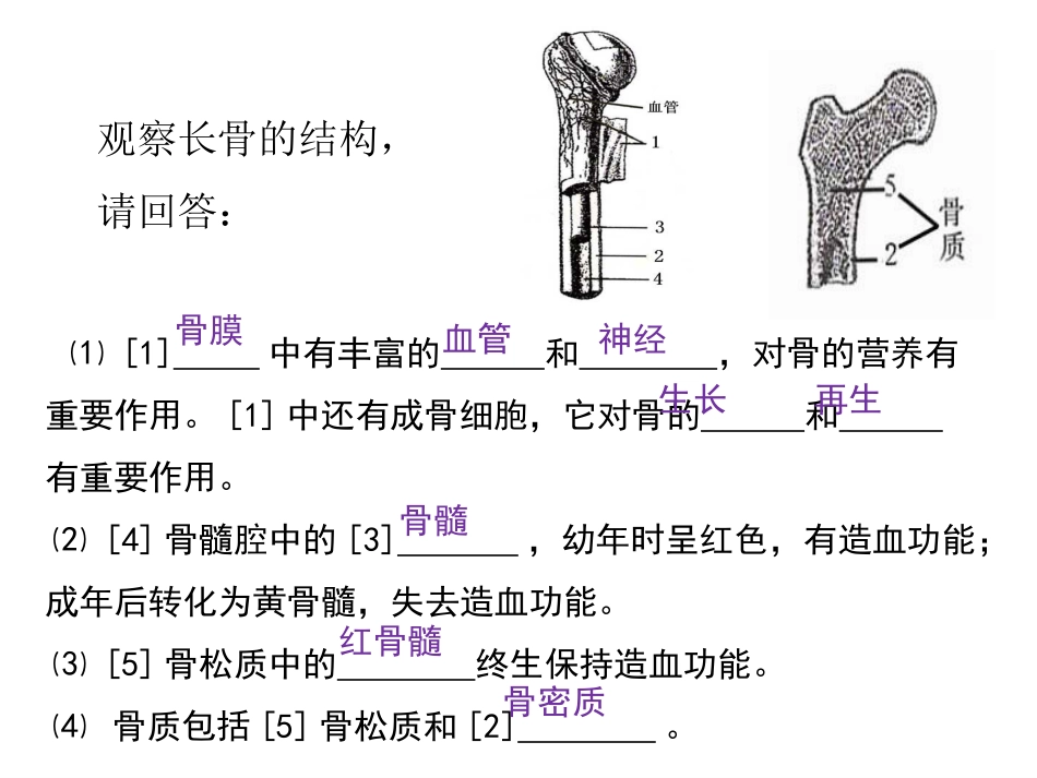 第二节---运动的形成(第三课时)_第3页
