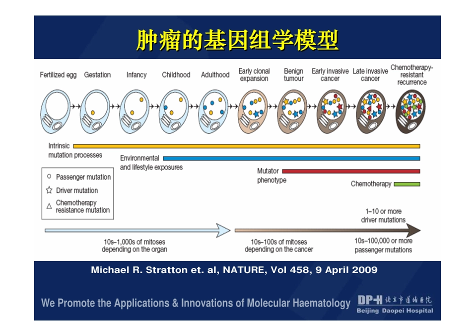 肿瘤基因组学模型与常用分子诊断检测项目的意义(1)_第2页