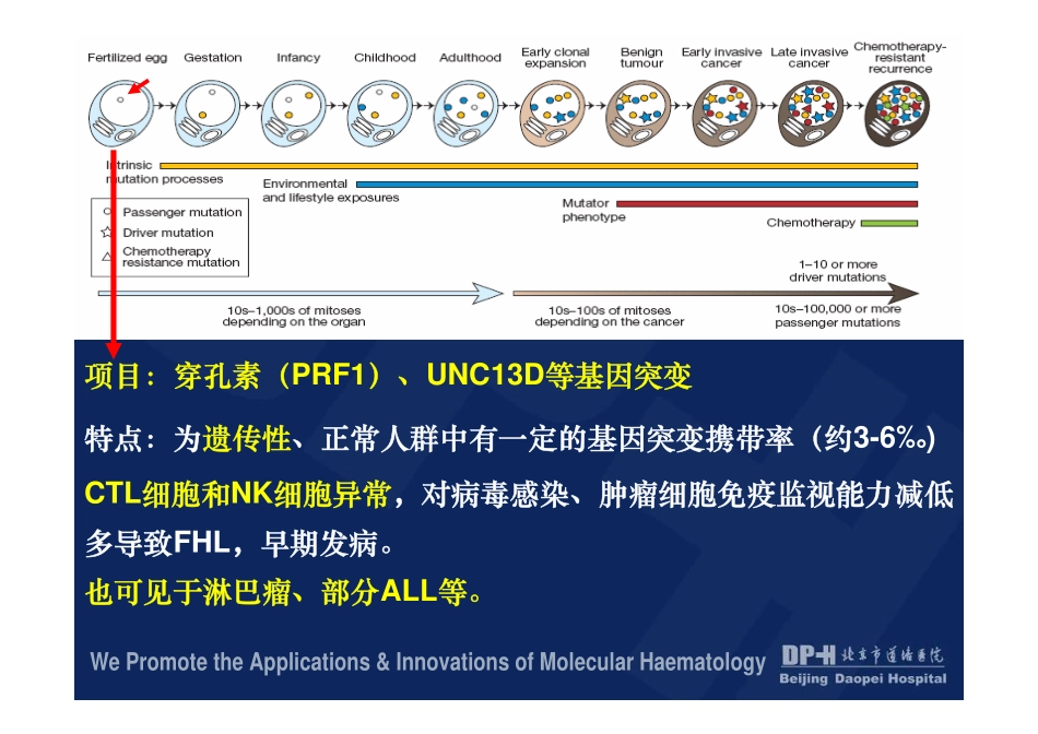 肿瘤基因组学模型与常用分子诊断检测项目的意义(1)_第3页