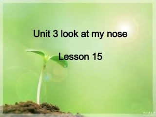 Unit-3-Look-at-my-nose-Lesson-15-课件2