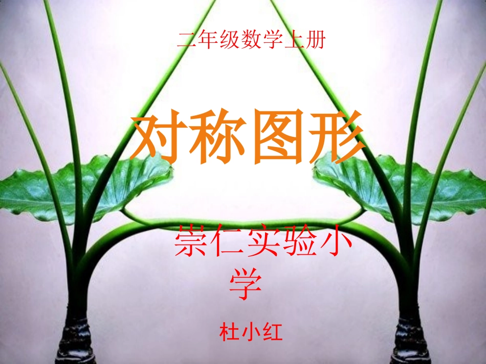 小学数学人教2011课标版二年级美丽的对称图形_第1页