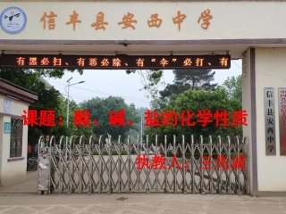 盐和酸、碱的反应-(3)