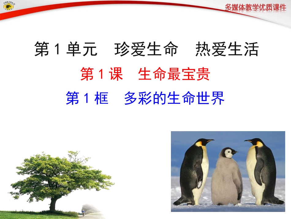 第1框多彩的生命世界_第1页