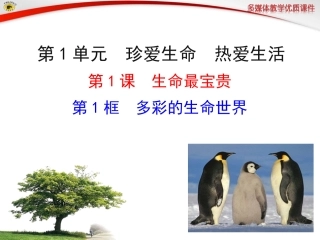 第1框多彩的生命世界