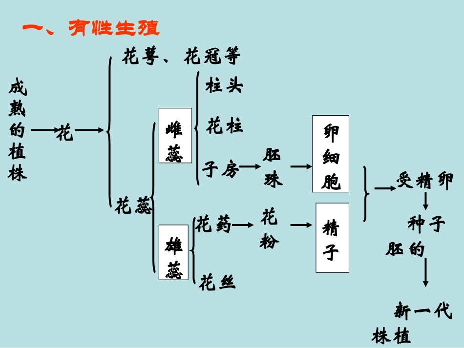 科学·技术·社会植物的组织培养-(6)_第3页