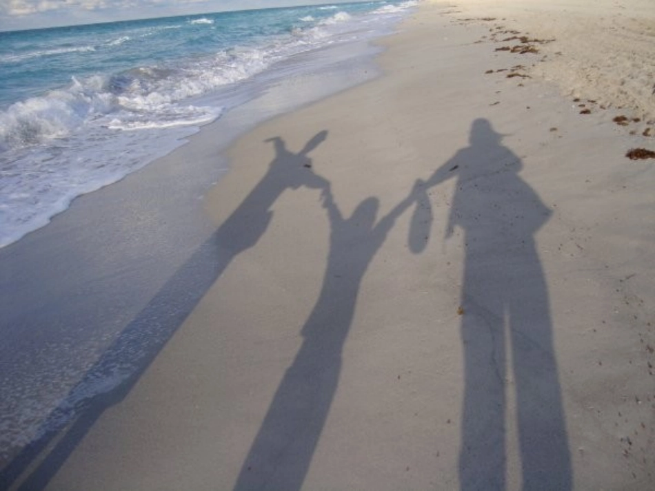 29、1投影_第3页