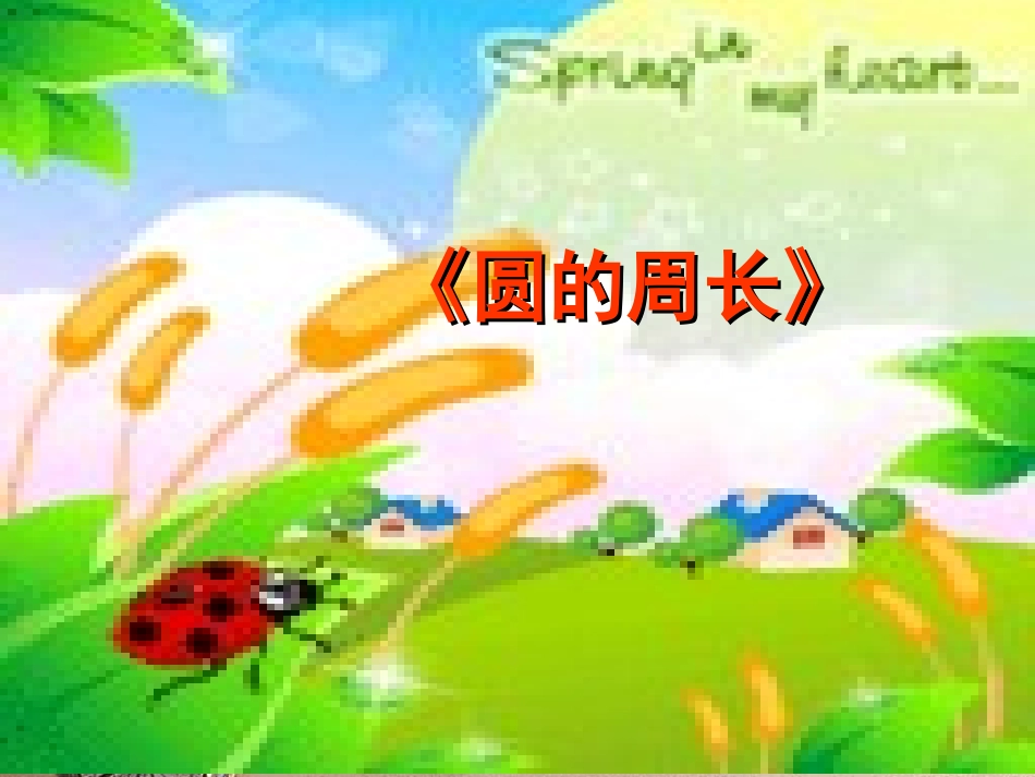 圆的周长-(5)_第1页