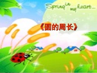 圆的周长-(5)