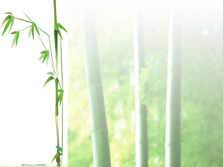 4去打开大自然绿色的课本_第3页