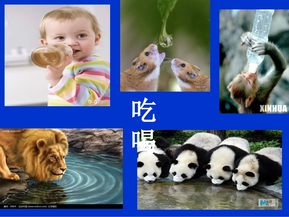 课题4爱护水资源-(3)_第2页