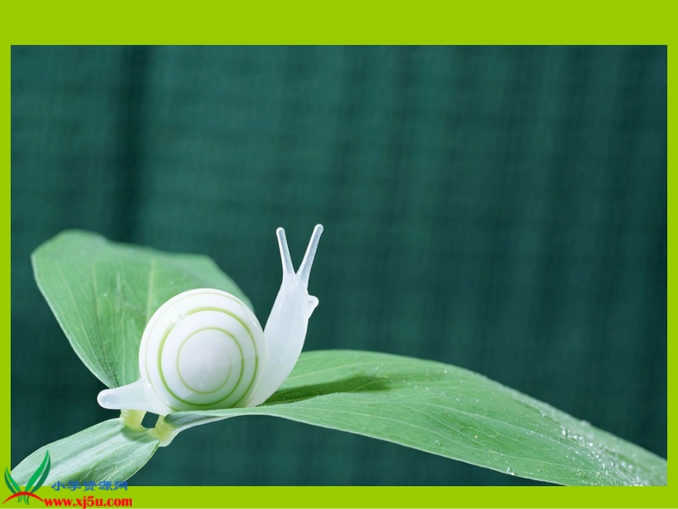 《蜗牛的奖杯》第一课时_第2页