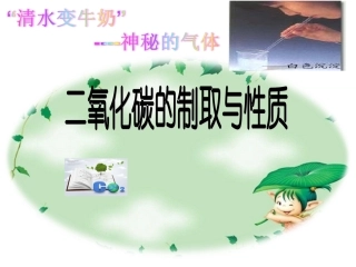 到实验室去：二氧化碳的实验室制取与性质