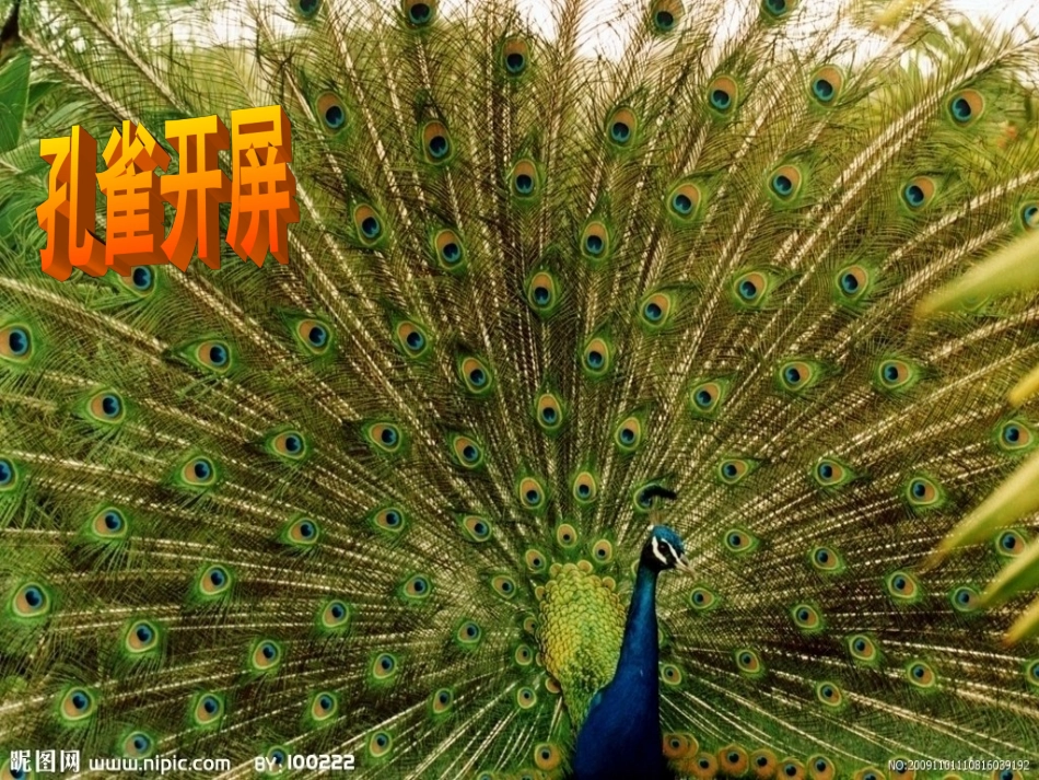 2、我是好样的_第3页