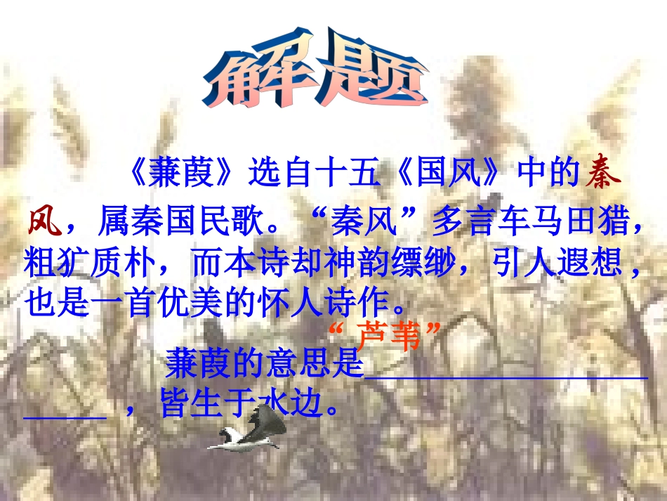 蒹葭-(4)_第3页