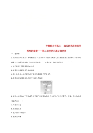 高考历史大二轮复习 专题能力训练11 战后世界政治经济格局的演变——第二次世界大战后的世界-人教版高三全册历史试题