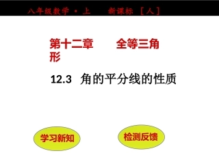 角的平分线性质.33角的平分线的性质