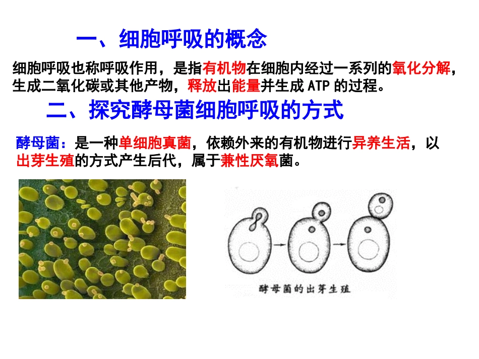 细胞呼吸产生能量_第2页