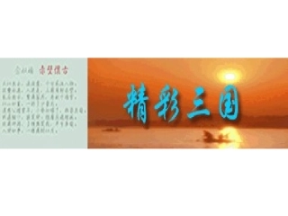 二九煮酒论英雄