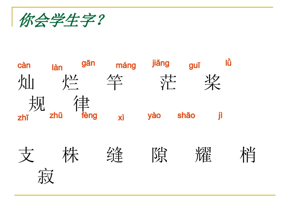 《鸟的天堂》.ppt课件2_第2页
