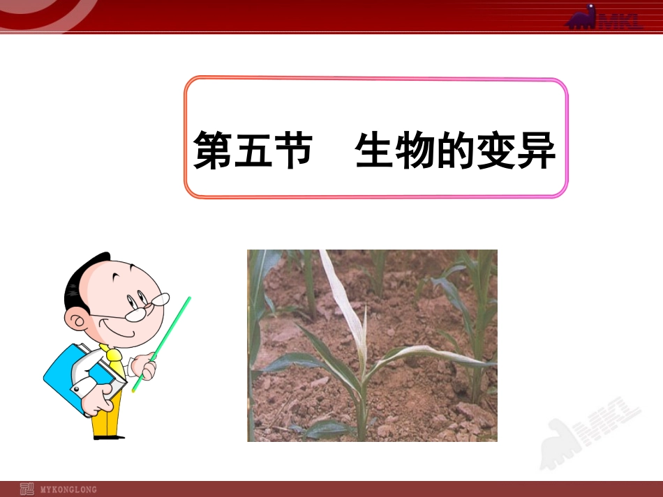 科学家的故事袁隆平与杂交水稻-(4)_第1页